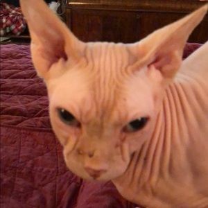 Meet your Posher, Cia